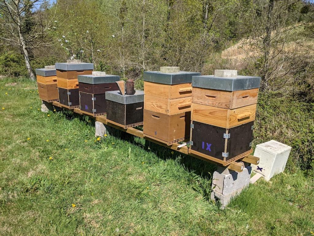 L'Angeberdière Saint-Mars-sur-la-Futaie Exterior foto