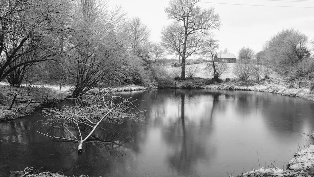 L'Angeberdière Saint-Mars-sur-la-Futaie Exterior foto